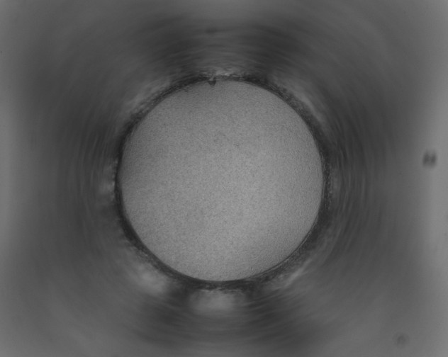 X0000092070545200710101021