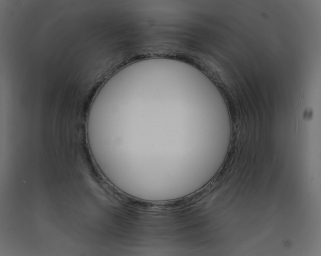 X0000092070546200710101021