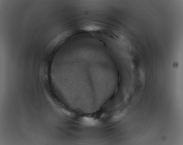 X0000092070547200710101021