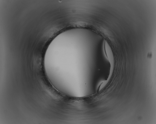 X0000092070548200710101021