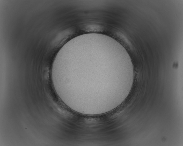 X0000092070549200710101021