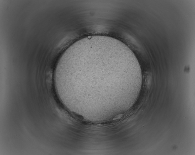 X0000092070550200710101021