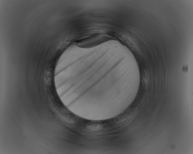 X0000092070551200710101021