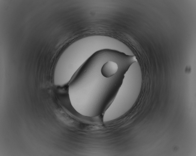 X0000092070552200710101021