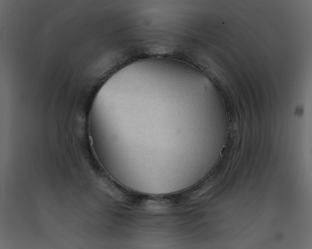 X0000092070556200710101021