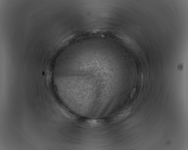 X0000092070558200710101021