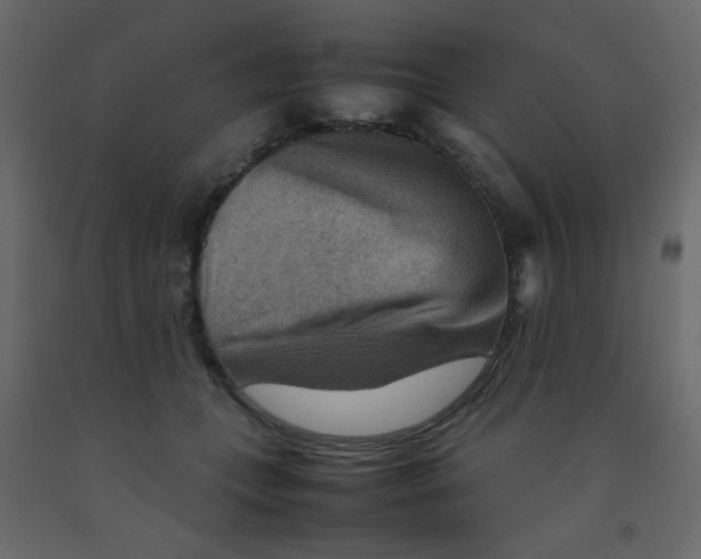 X0000092070559200710101021