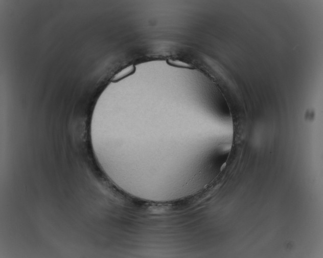 X0000092070560200710101021