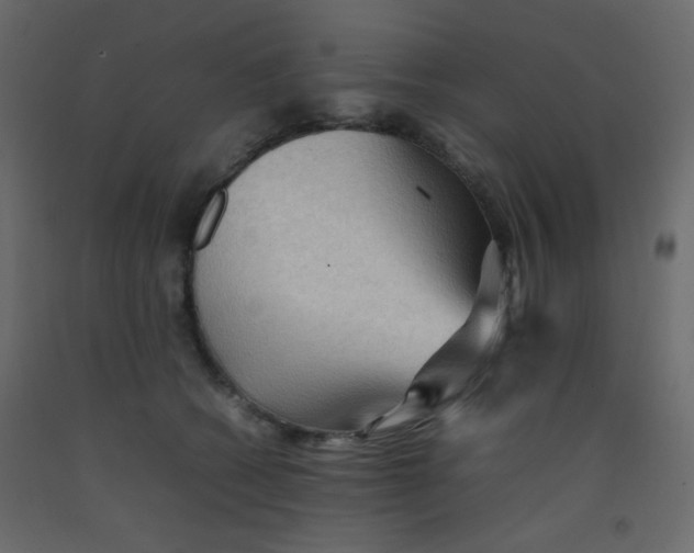 X0000092070562200710101021