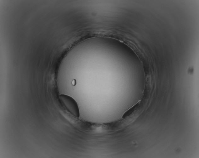 X0000092070564200710101021