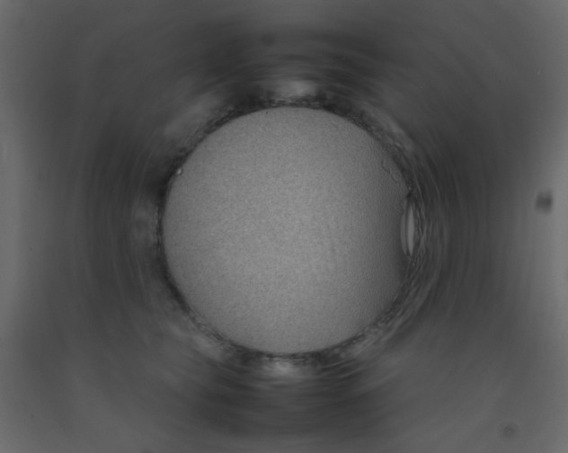 X0000092070565200710101021