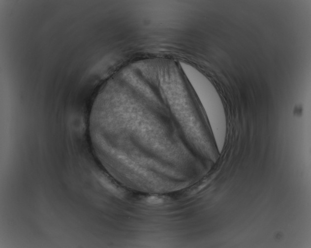 X0000092070566200710101021