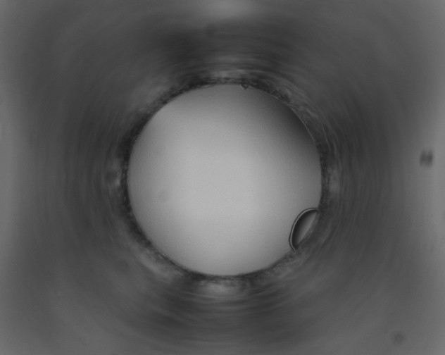 X0000092070567200710101021