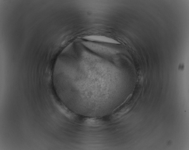 X0000092070568200710101021