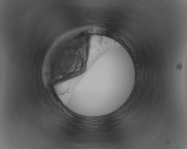 X0000092070569200710101021