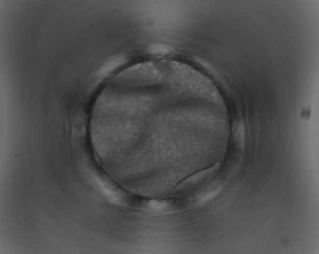 X0000092070570200710101021