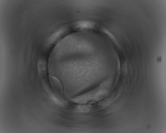 X0000092070571200710101021