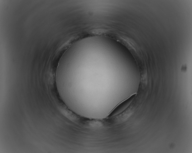 X0000092070572200710101021