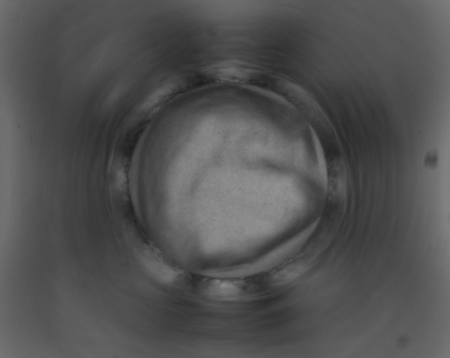 X0000092070573200710101021