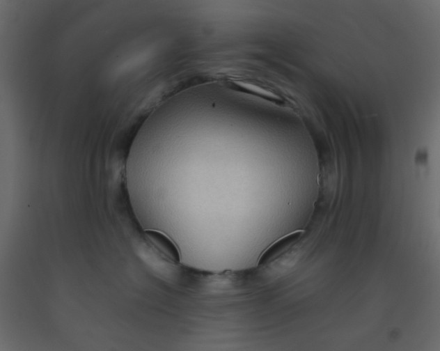 X0000092070574200710101021