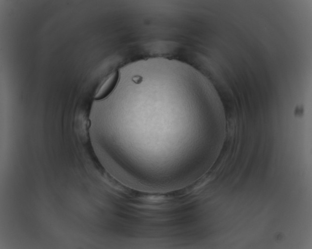 X0000092070575200710101021