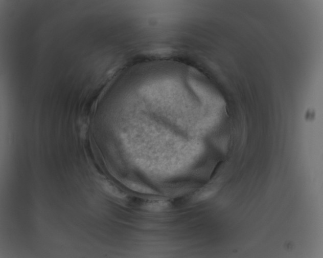 X0000092070576200710101021