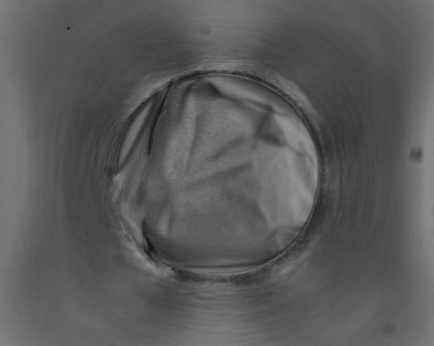 X0000092070577200710101021