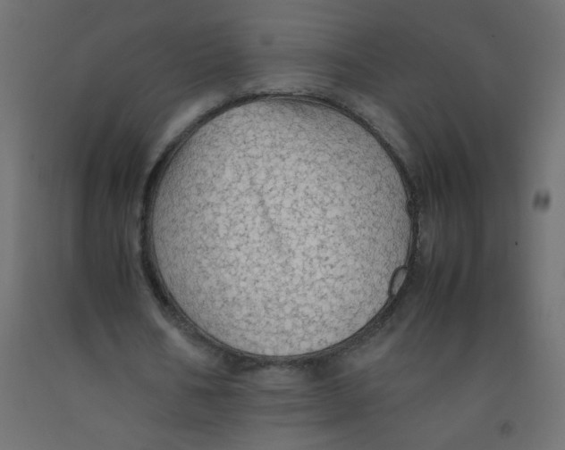 X0000092070578200710101021