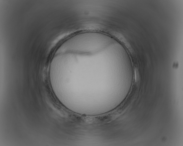 X0000092070579200710101021