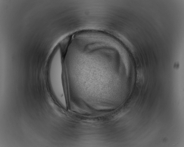 X0000092070580200710101021