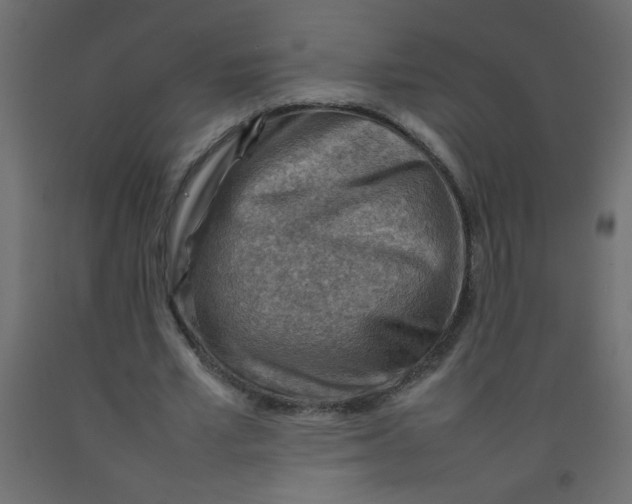 X0000092070581200710101021