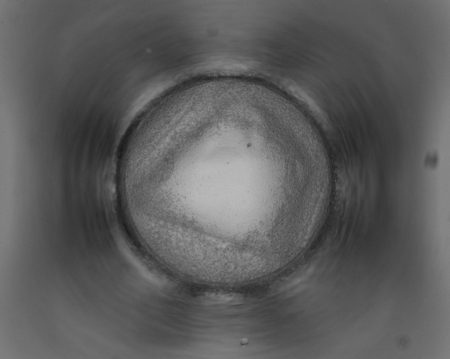 X0000092070582200710101021