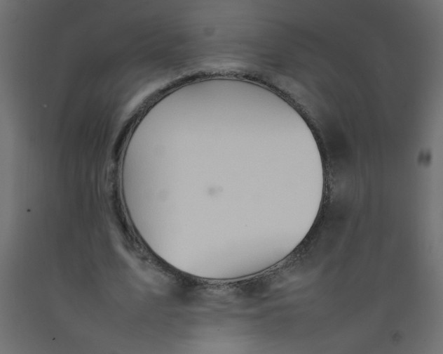 X0000092070583200710101021