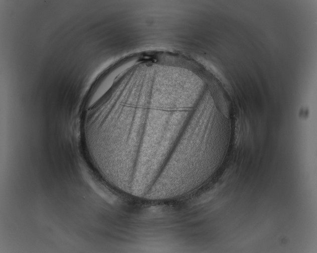 X0000092070584200710101020