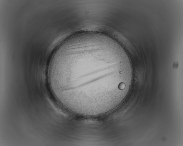 X0000092070586200710101020