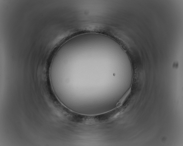 X0000092070587200710101020