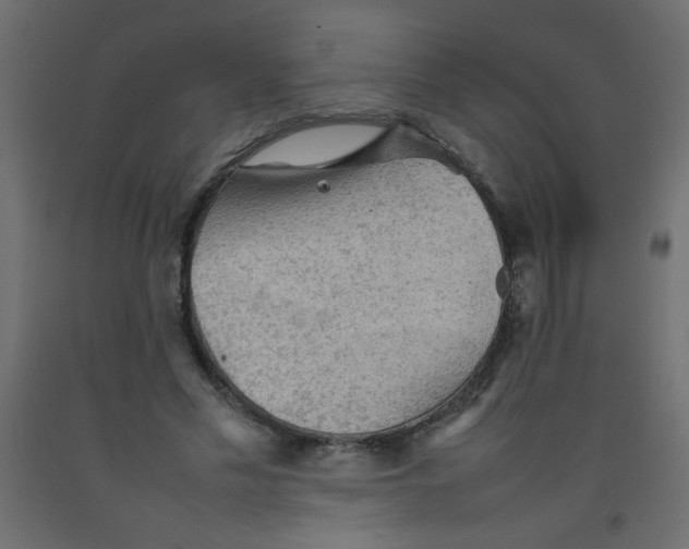 X0000092070589200710101020