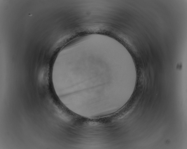 X0000092070590200710101020