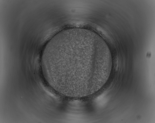 X0000092070594200710101020