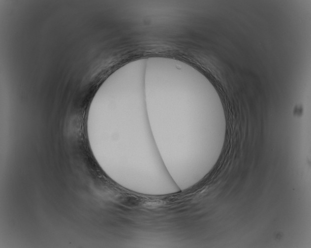 X0000092070595200710101020