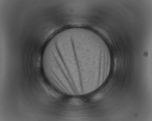 X0000092070596200710101020
