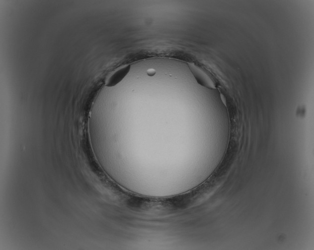 X0000092070597200710101020