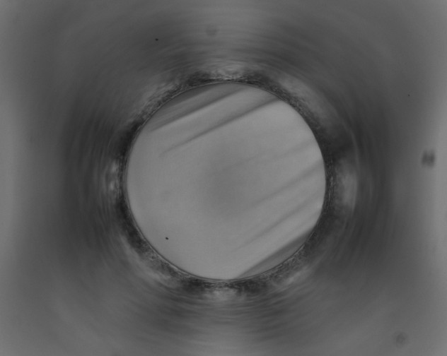 X0000092070598200710101020