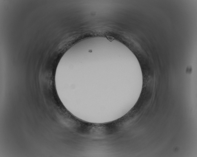 X0000092070599200710101020