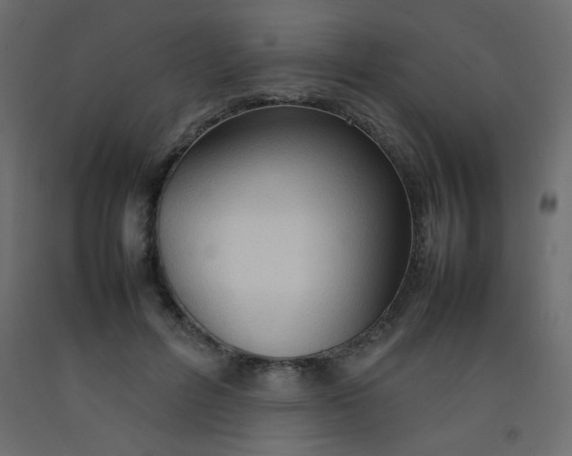X0000092070600200710101020