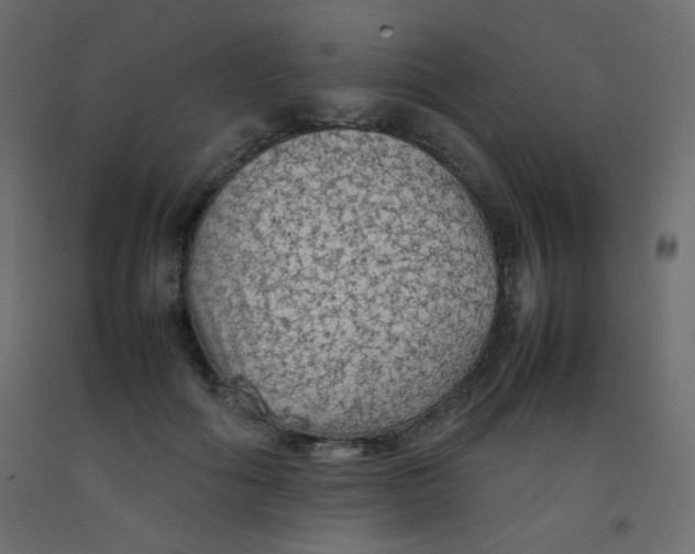 X0000092070602200710101020