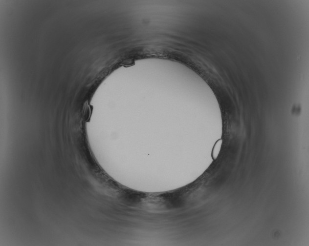 X0000092070603200710101020
