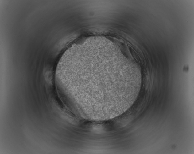 X0000092070604200710101020