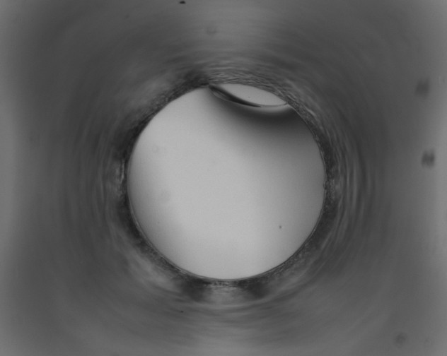 X0000092070605200710101020
