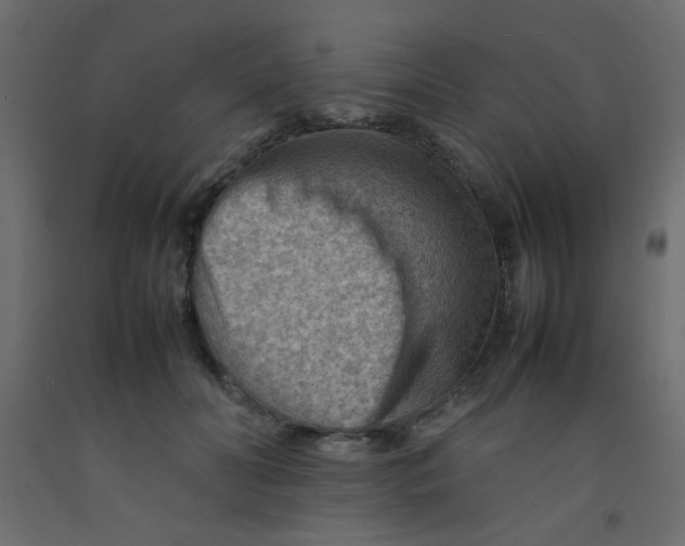 X0000092070606200710101020